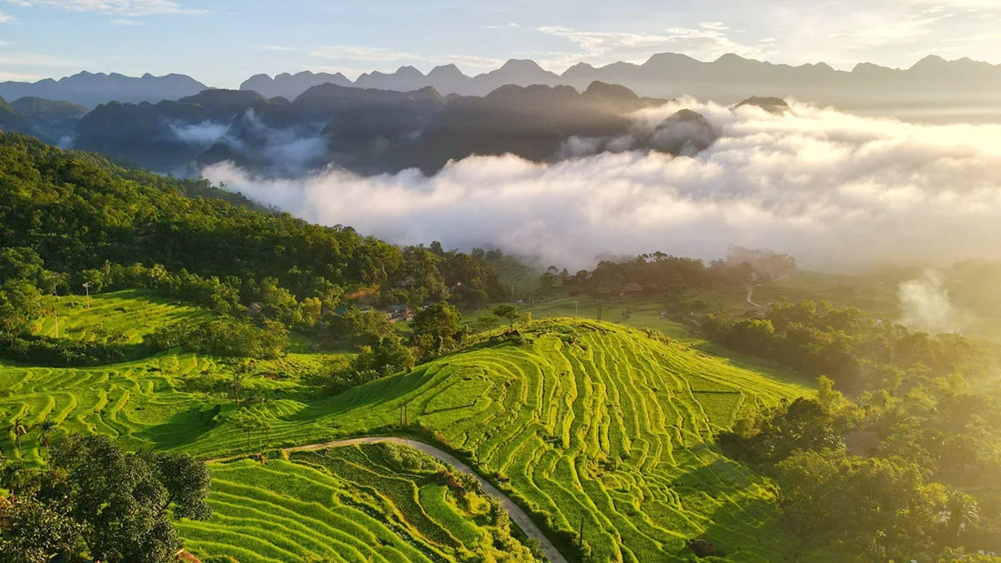 Vietnam Tour