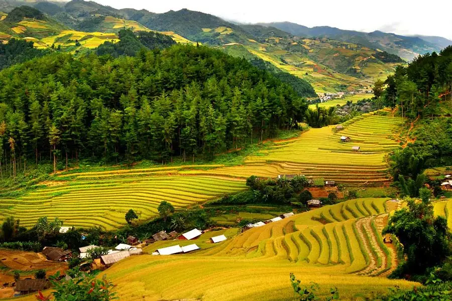 Vietnam Tour